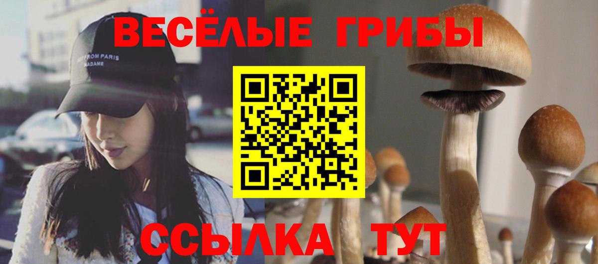 Псилоцибиновые грибы Cubensis  Галлюциногенные грибы Magic Shrooms  Ялта  Вход с VPN 