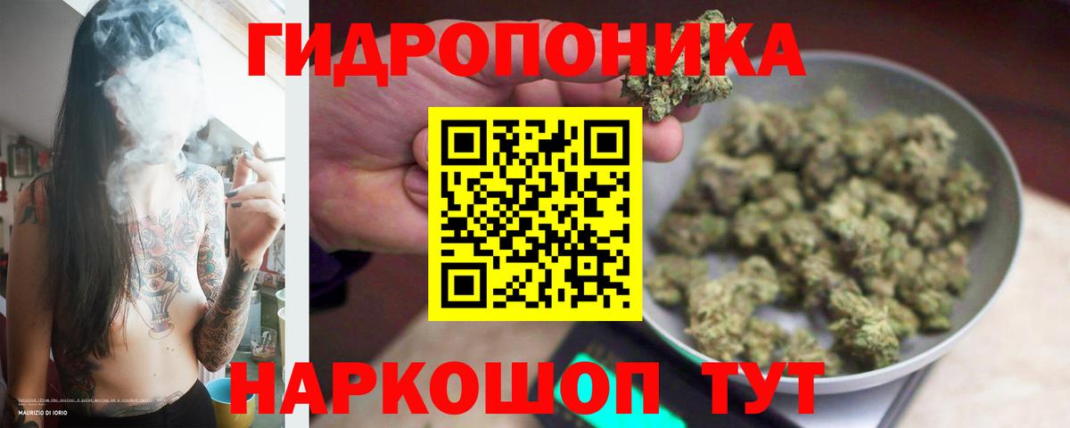 Шишки марихуана планчик Ялта